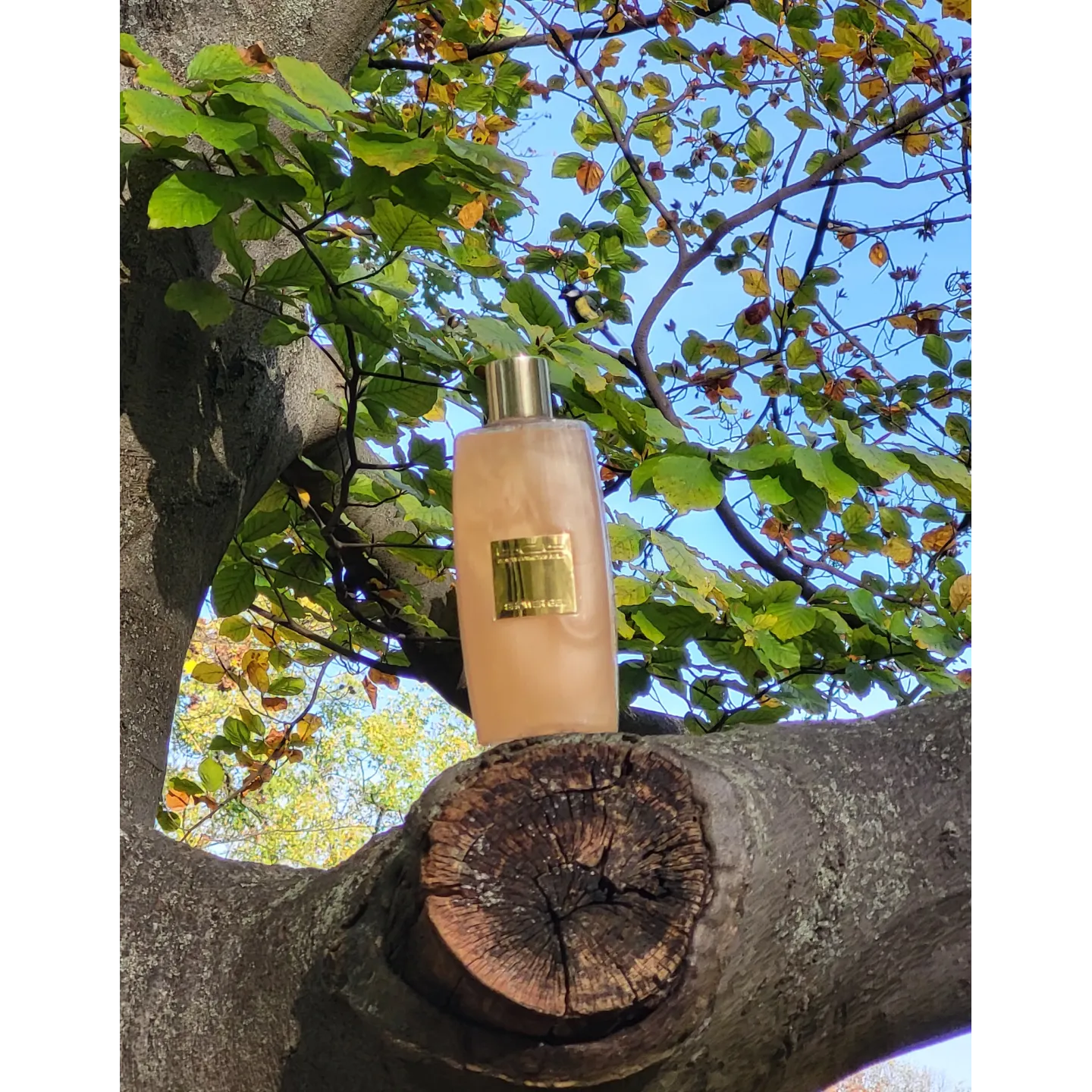 Lumière d’Or Gel Douche 250 ml | bcb Berlin